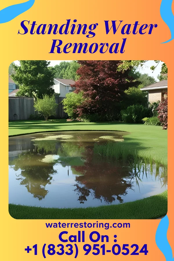Standing Water Removal in Gifford, IL